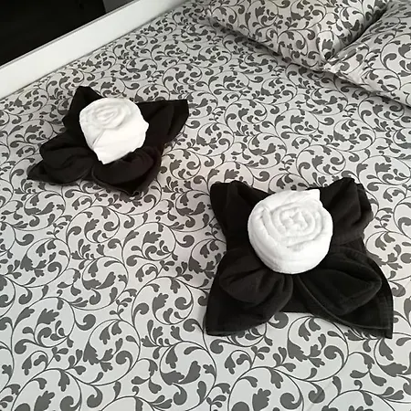 Appartement Of The Panteao, 1st Floor *